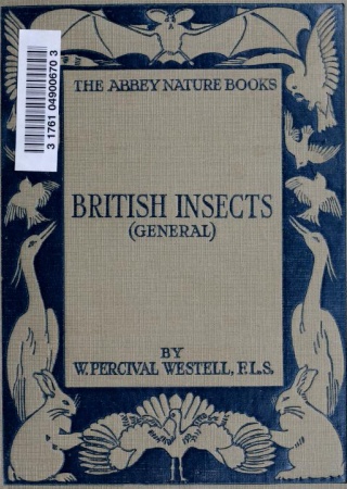 British insects (general)