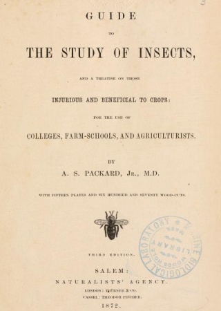 Guide to the study of insects