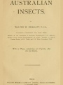 Australian insects