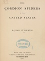 The common spiders of the United States